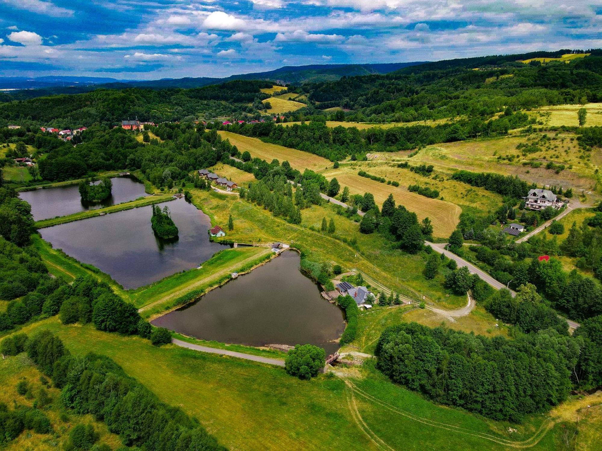 Calma Kameralne Lewin Klodzki